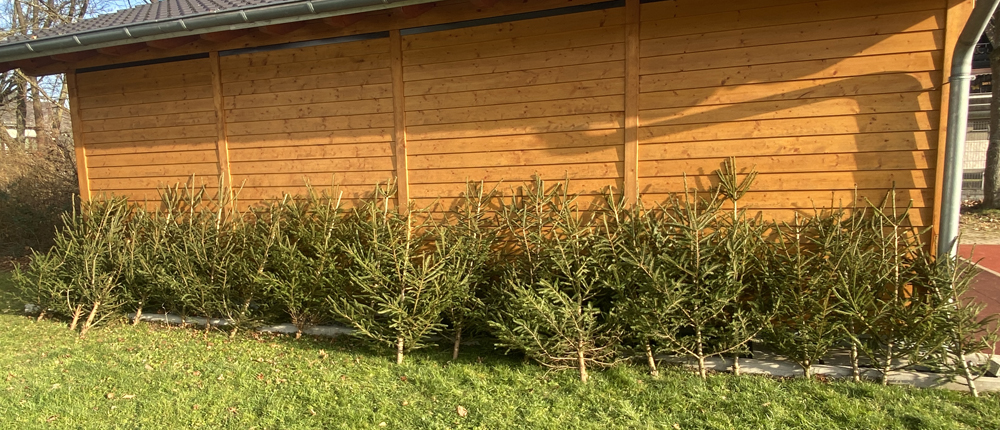 Weihnachtsbäume 2026